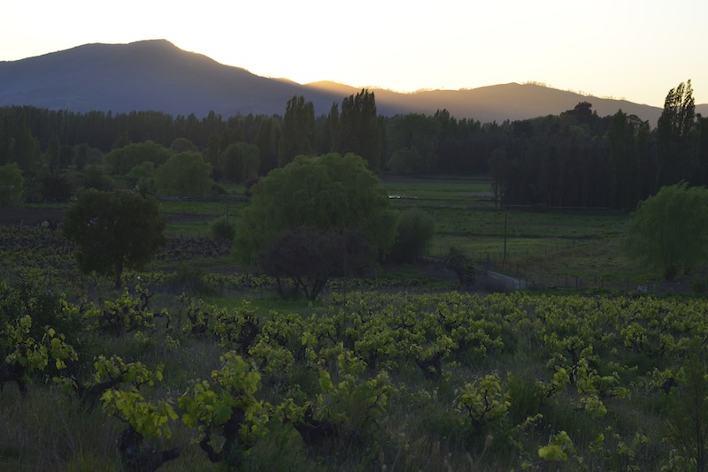 Colinas del valle